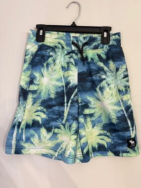 Abercrombie Kids Boys youth size 9/10 athletic Dri Fit Shorts
